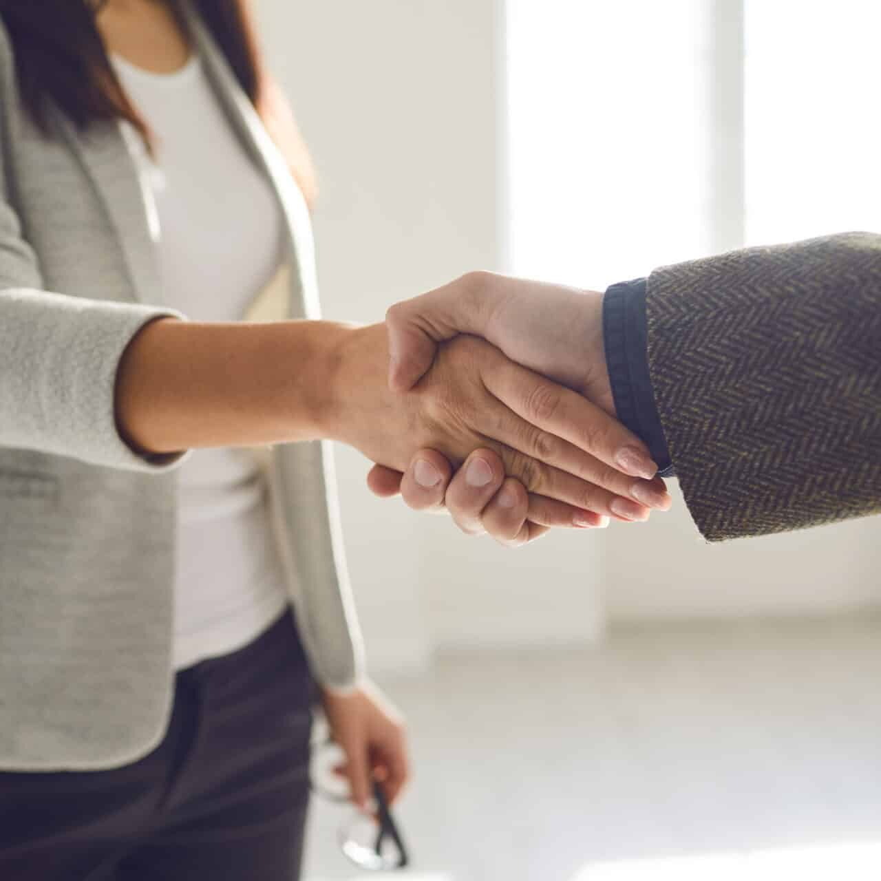 Handshake Of Businesspeople Female And Male Hand Makes A Handshake In The Office